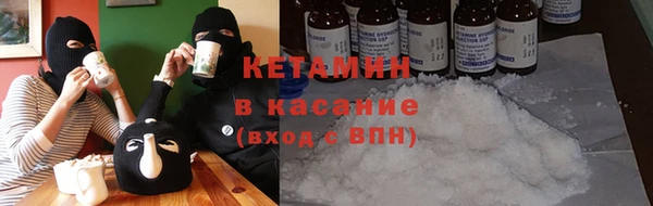 сатива Лабытнанги